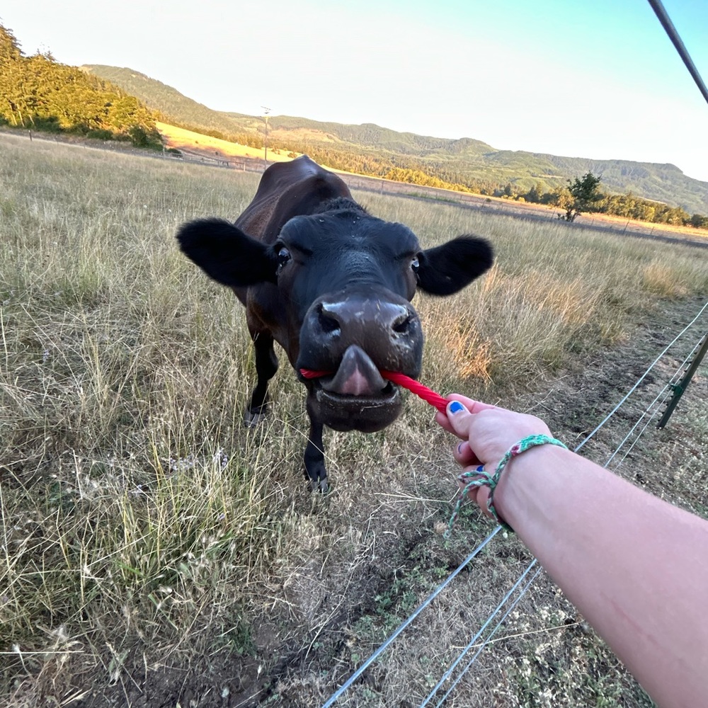 Meet your Posher, Hillary mae